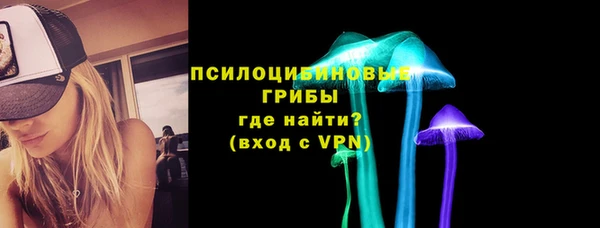молекула духа Верхний Тагил